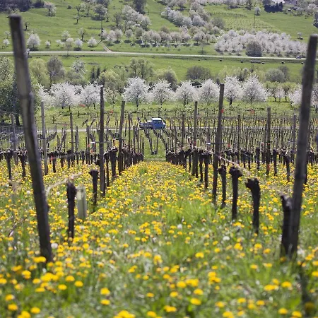 Hotell Graf Obereggenen