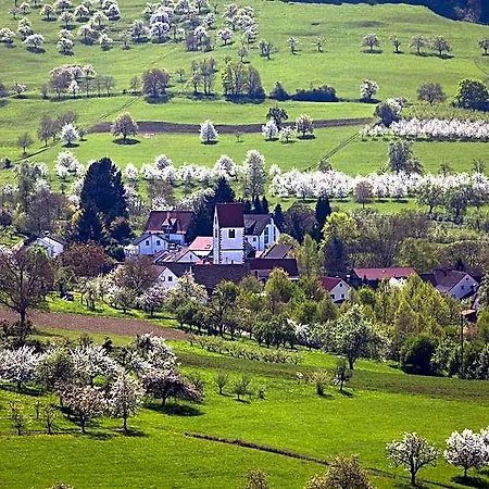 Landhotel Graf 2* Obereggenen