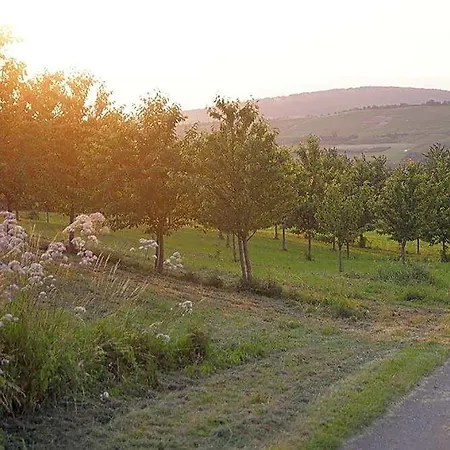 Landhotel Graf 2*