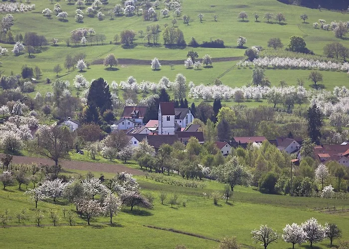 Hotel Graf Obereggenen